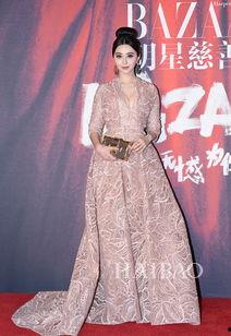 2014芭莎明星慈善夜,星光熠熠，爱心闪耀公益之夜